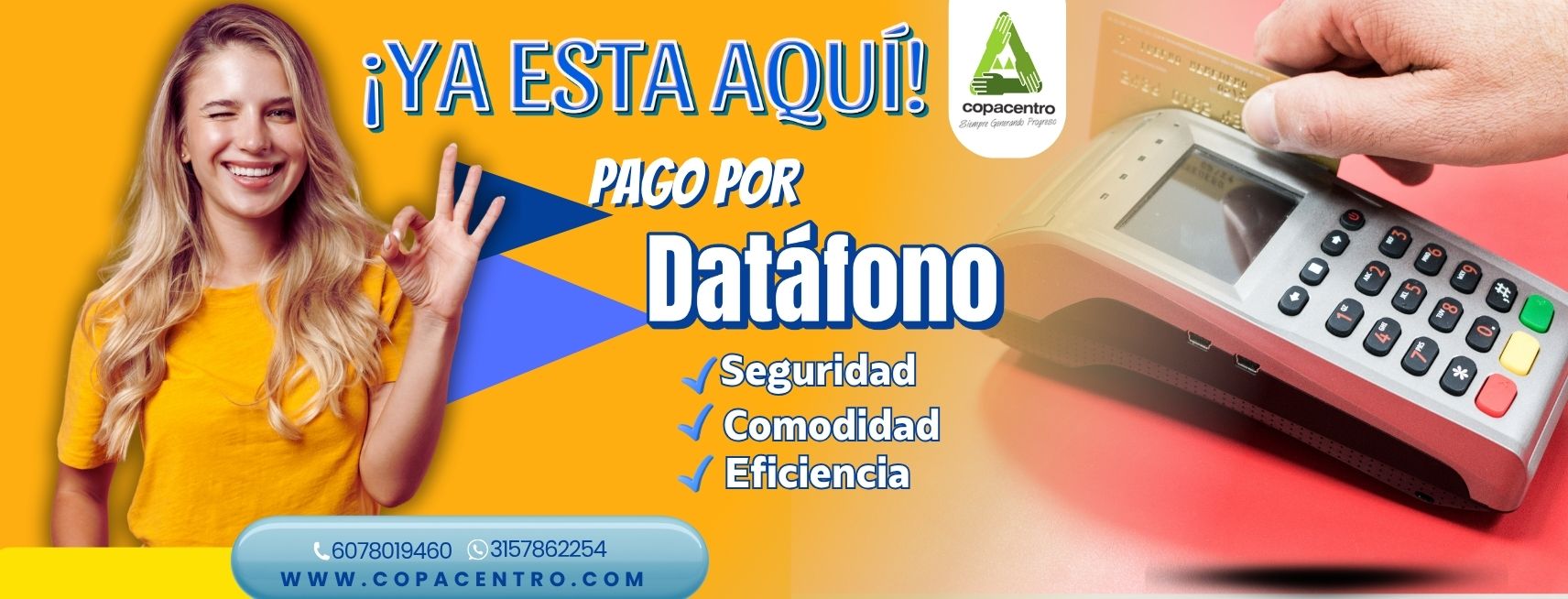 Datafono Web